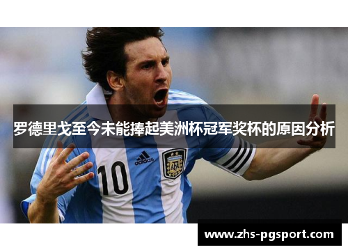 罗德里戈至今未能捧起美洲杯冠军奖杯的原因分析