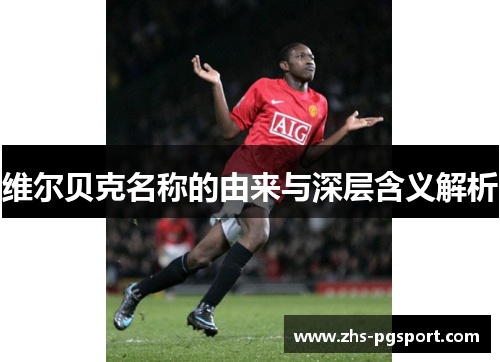 维尔贝克名称的由来与深层含义解析