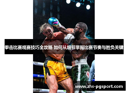 拳击比赛观赛技巧全攻略 如何从细节掌握比赛节奏与胜负关键