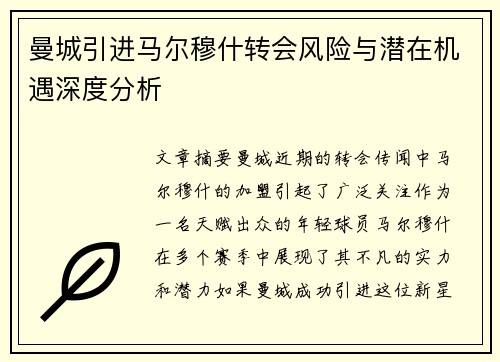 曼城引进马尔穆什转会风险与潜在机遇深度分析