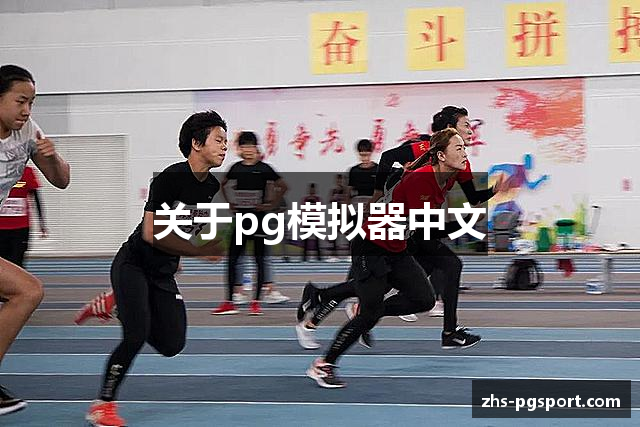 关于pg模拟器中文